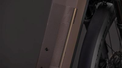 Cube Kathmandu Hybrid EXC 800 cedar'n'chrome Gr&ouml;&szlig;e: Easy Entry 46 cm Produktbild 3